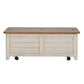 Storage Trunk