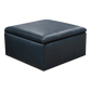 HENDRIX LEATHER STORAGE OTTOMAN 76581L/N