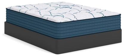 Limited Edition Plush 3.0  Mattress